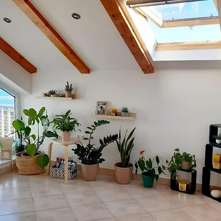 Private Attic With Panoramic View Apartment